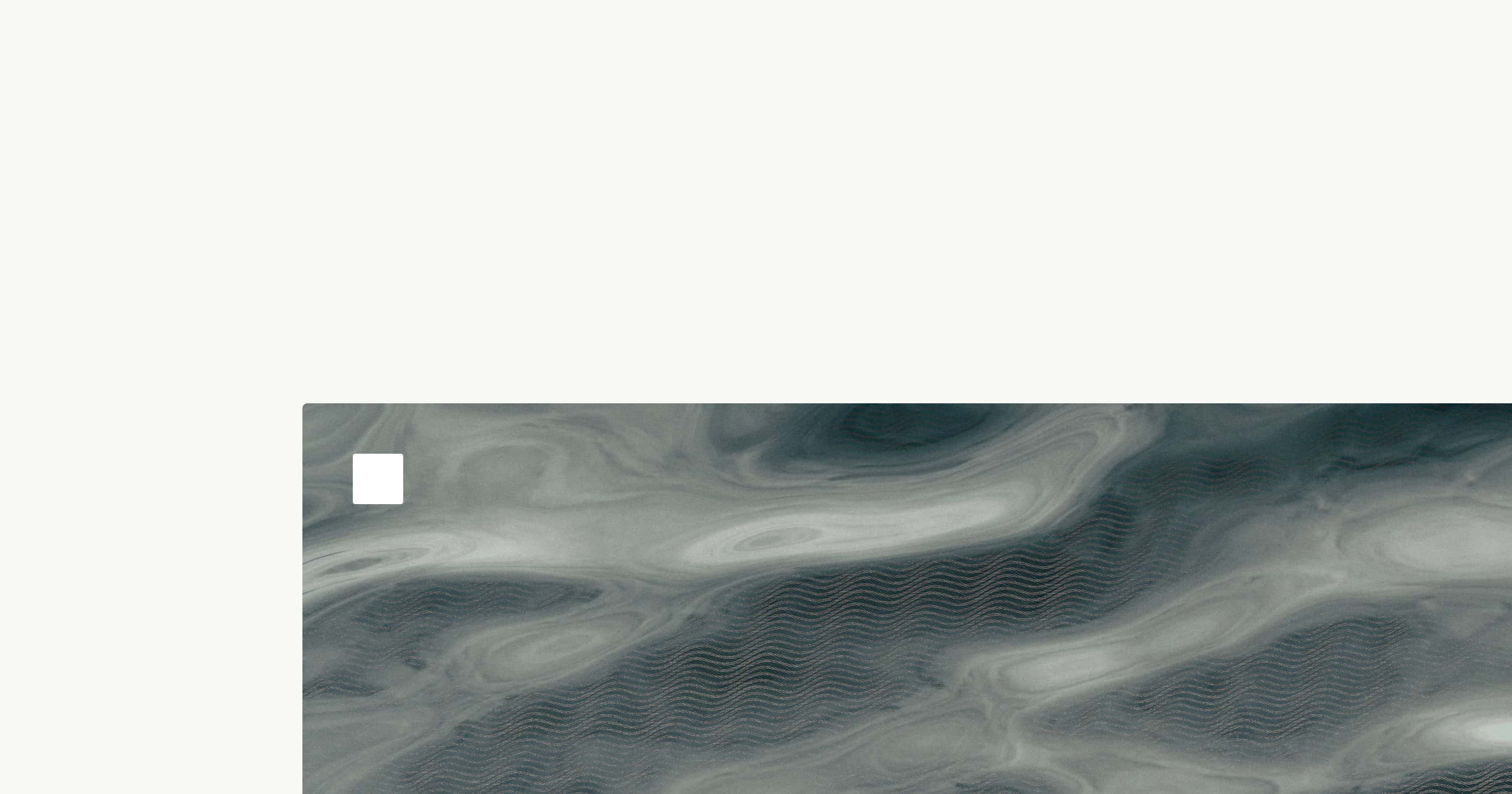 Fluid