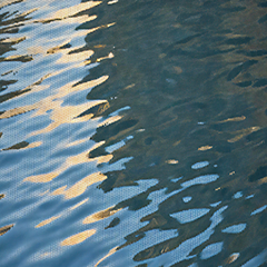 Fluid
